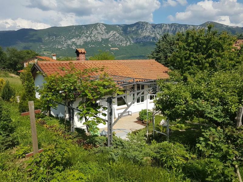 Holiday Home Slavi Vipava Exterior foto